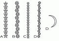 Papertrey Ink - Star Gazer Die Collection (set of 5)