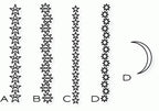 Papertrey Ink - Star Gazer Die Collection (set of 5)