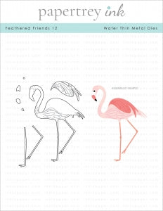 Feathered Friends 12 Die