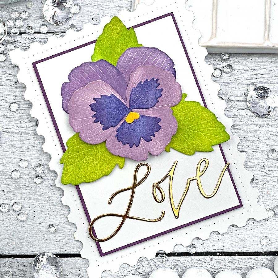 Into the Blooms: Pansies Die