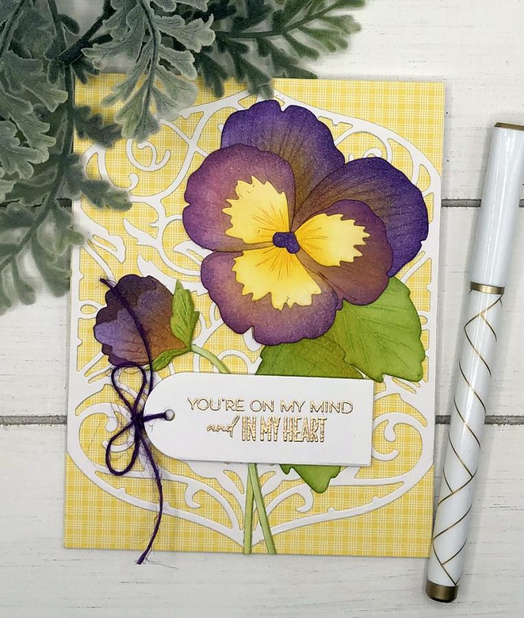 Into the Blooms: Pansies Die