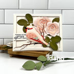 Feathered Friends 19 Die