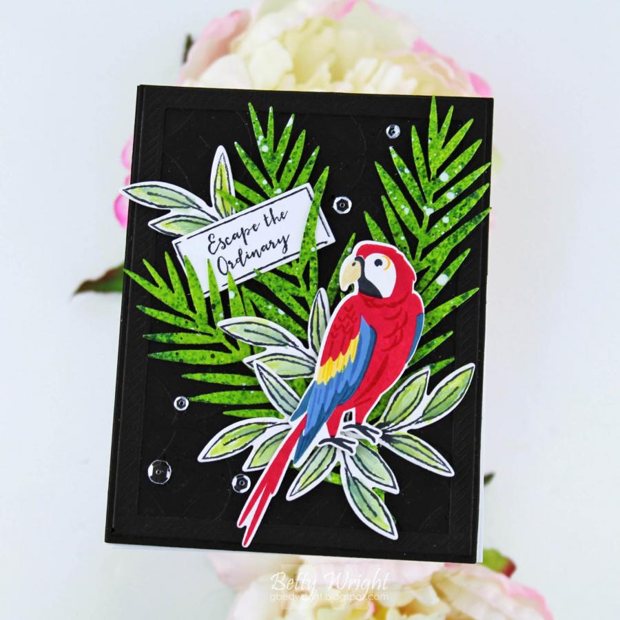 Feathered Friends Mini 24 Die
