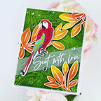 Feathered Friends Mini 24 Die