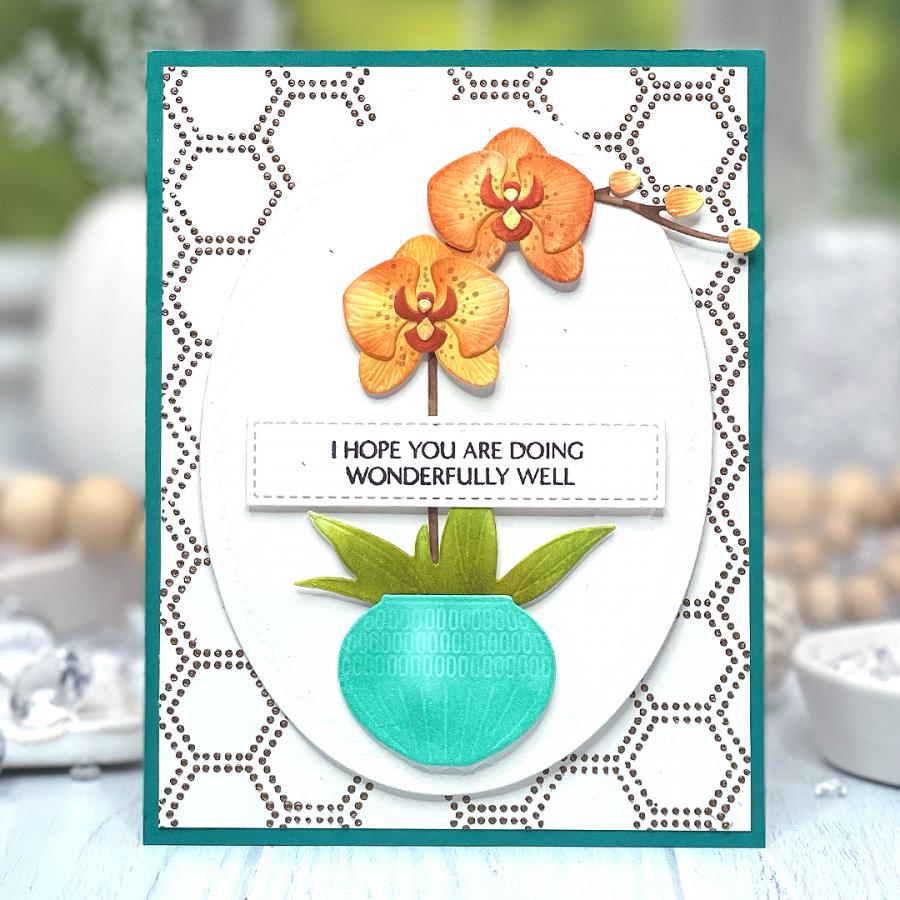 Into the Blooms: Orchids Die