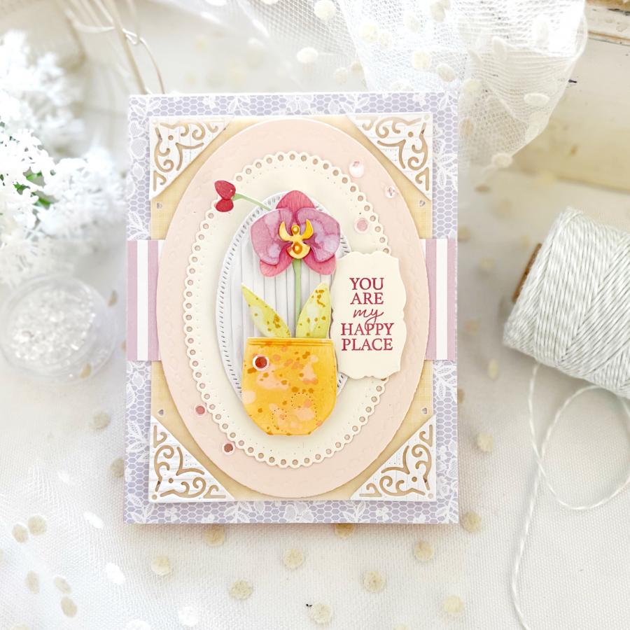 Into the Blooms: Orchids Die