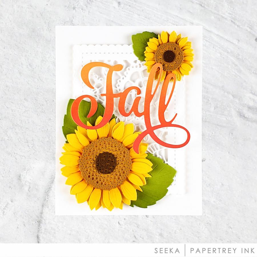 Into the Blooms: Sunflowers Die