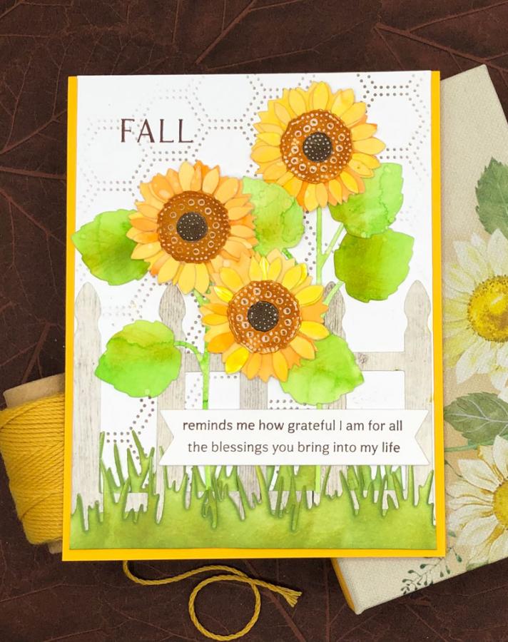Into the Blooms: Sunflowers Die