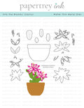 Into the Blooms: Cactus Die