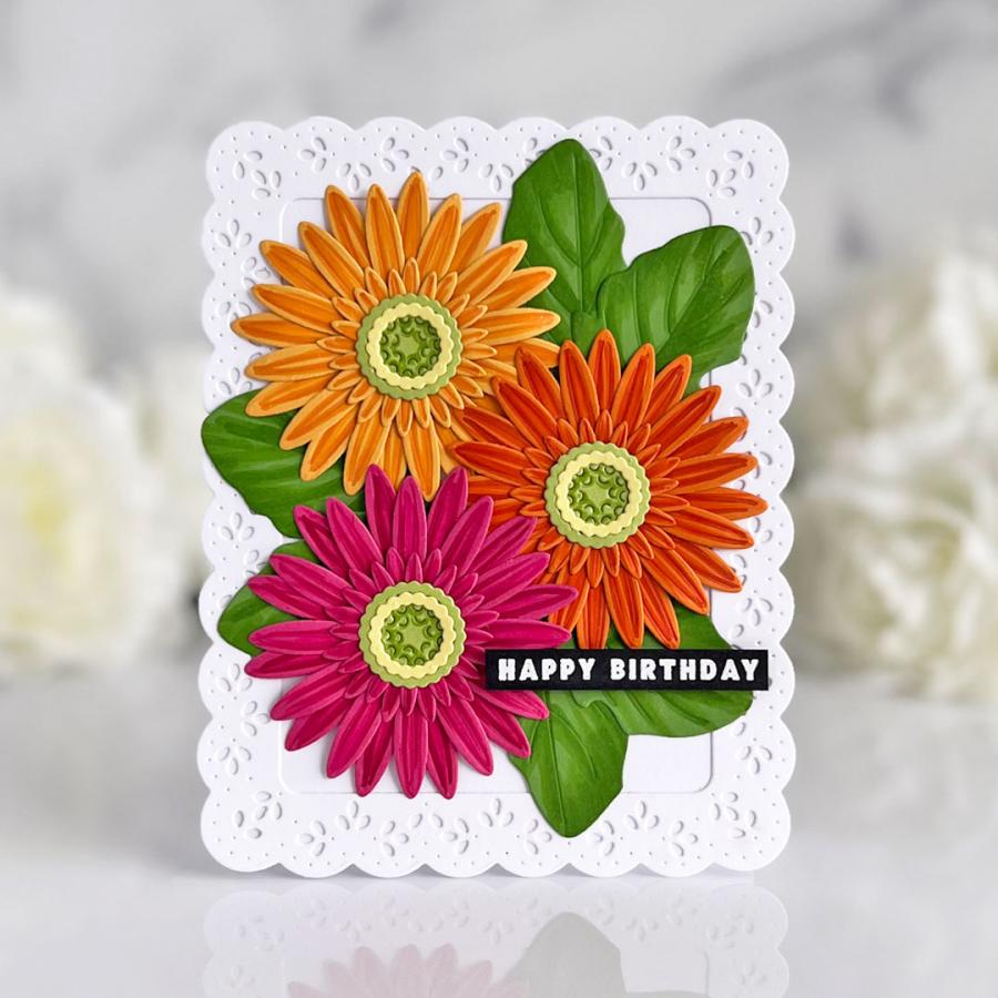 Into the Blooms: Gerber Daisies Die