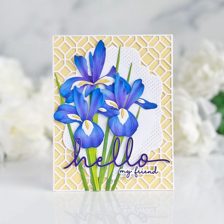 Into the Blooms: Iris Die