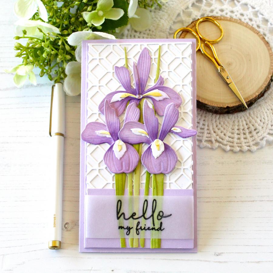 Into the Blooms: Iris Die