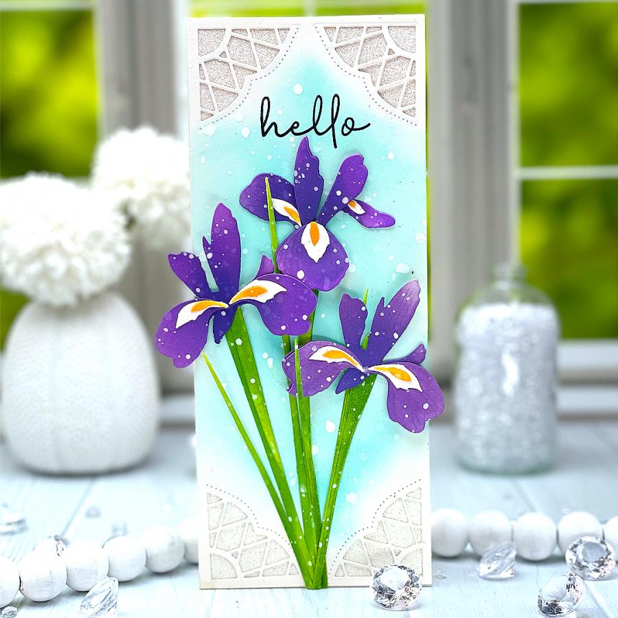 Into the Blooms: Iris Die