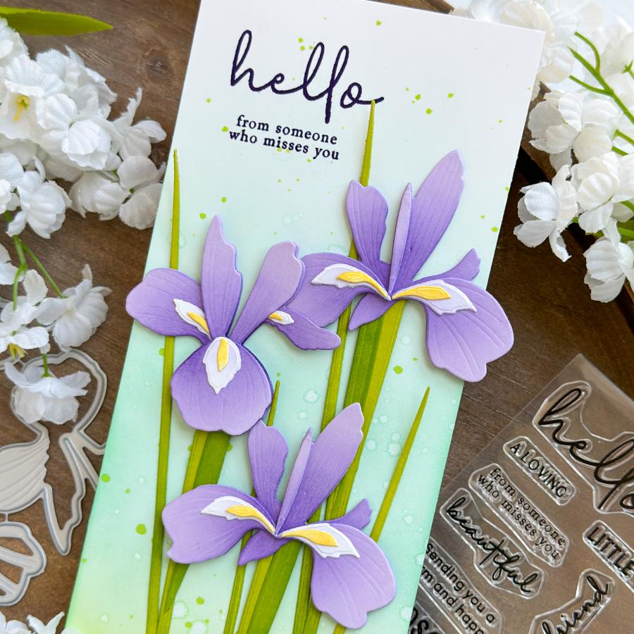 Into the Blooms: Iris Die