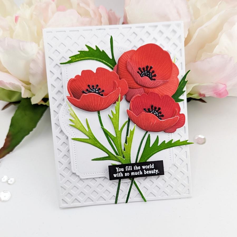 Into the Blooms: Poppies Die