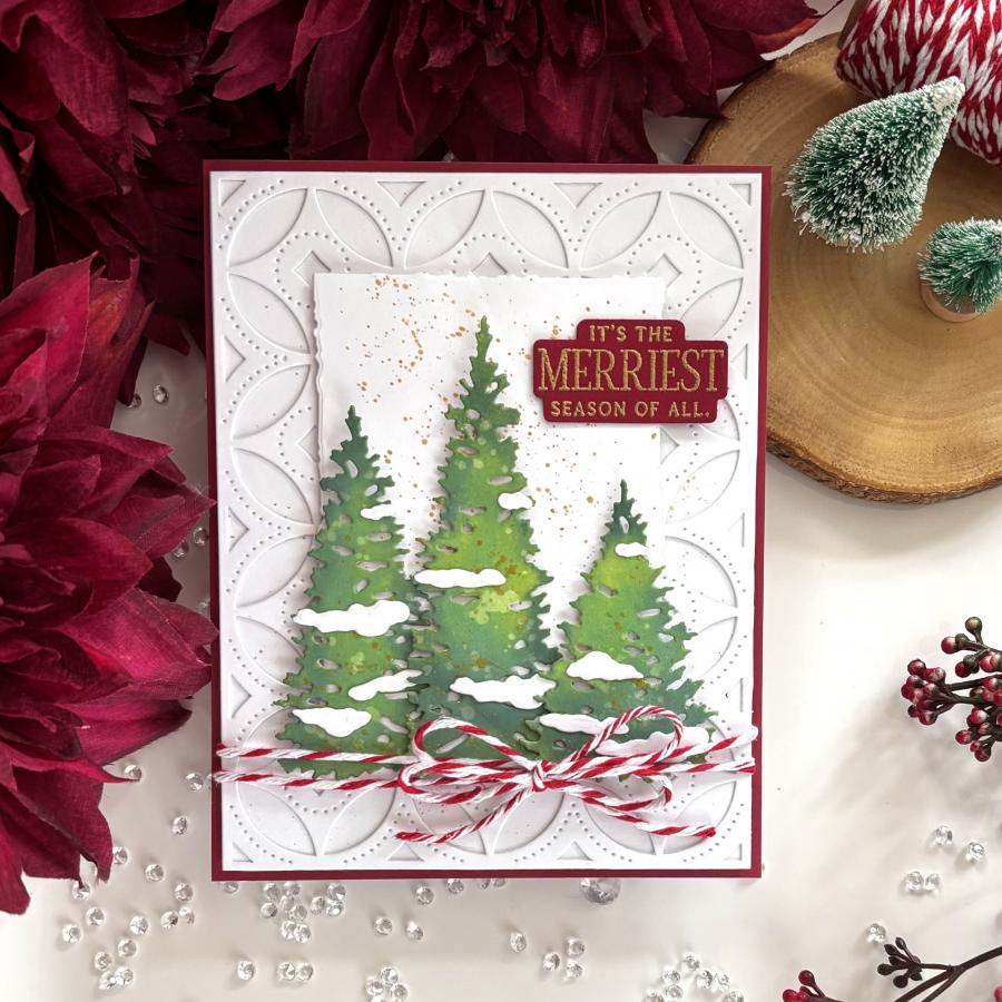 Into the Blooms: Evergreens Die