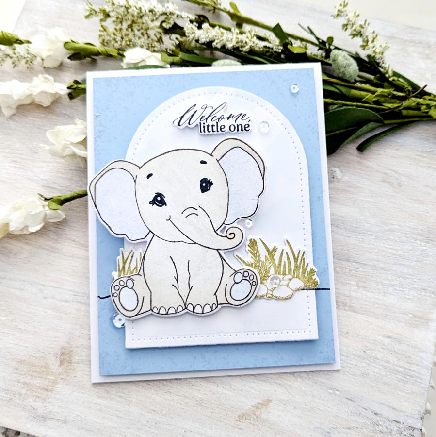 Baby Elephant Die