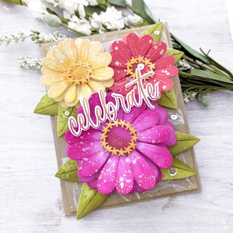 This is Big Sentiments: Celebrate Die