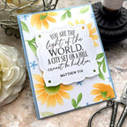 Reflections: Matthew 5 Die