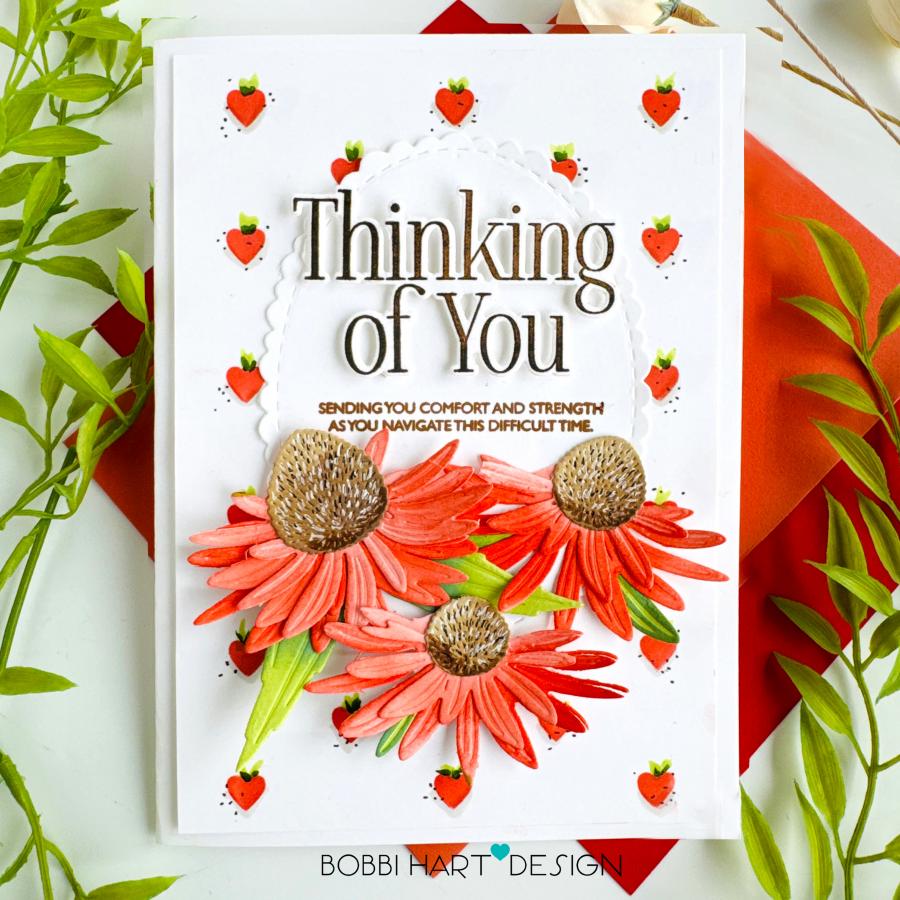 Into the Blooms: Coneflowers Die