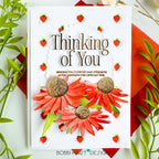 Into the Blooms: Coneflowers Die