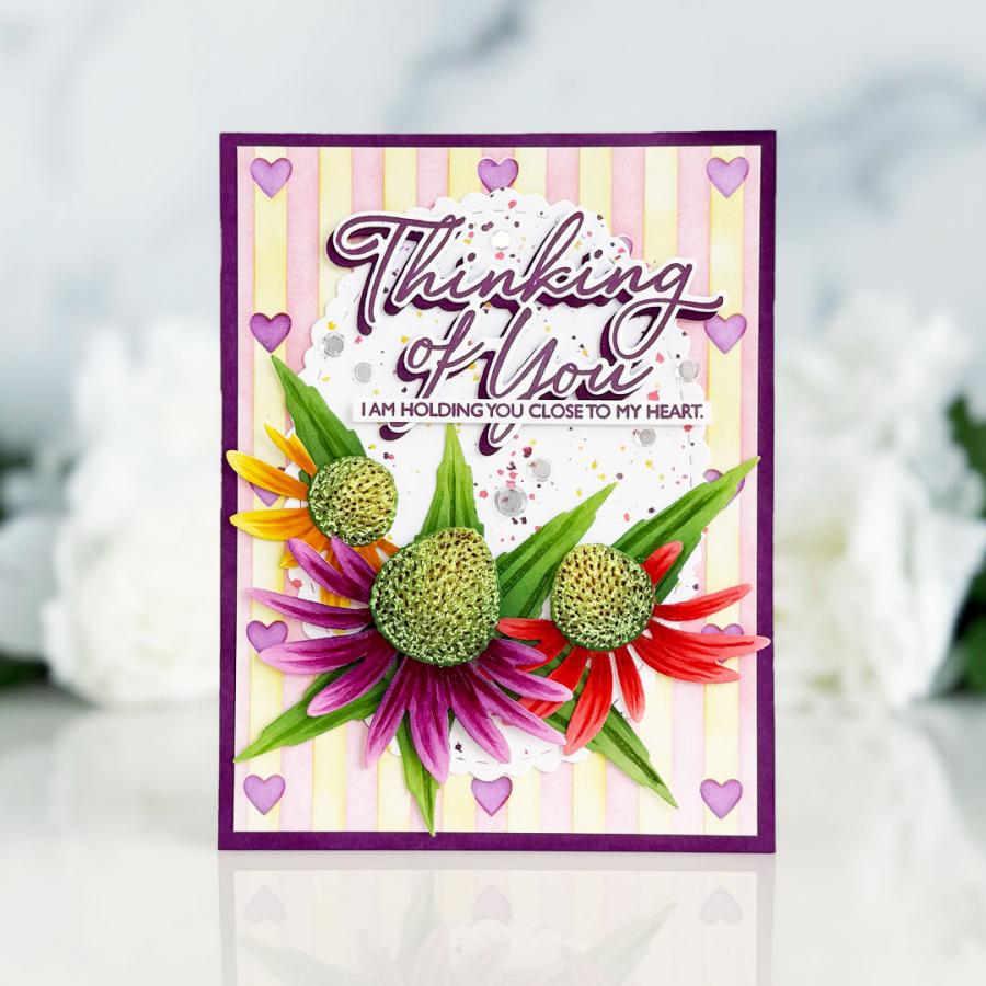 Into the Blooms: Coneflowers Die