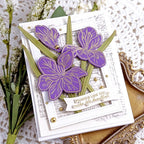 Winter Iris Die