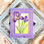 Winter Iris Die