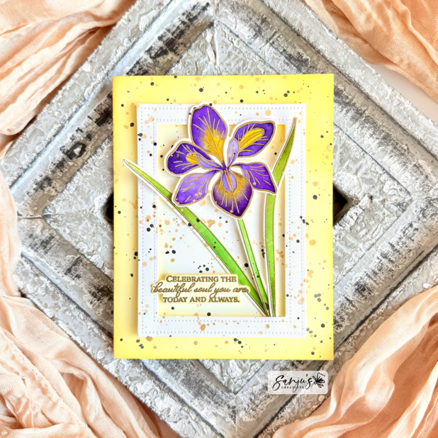 Winter Iris Die
