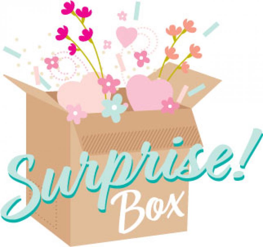 July 2023 Surprise Box