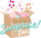 October 2023 Surprise Box