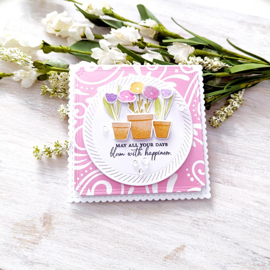 Pro Stamper's Box: February 2024