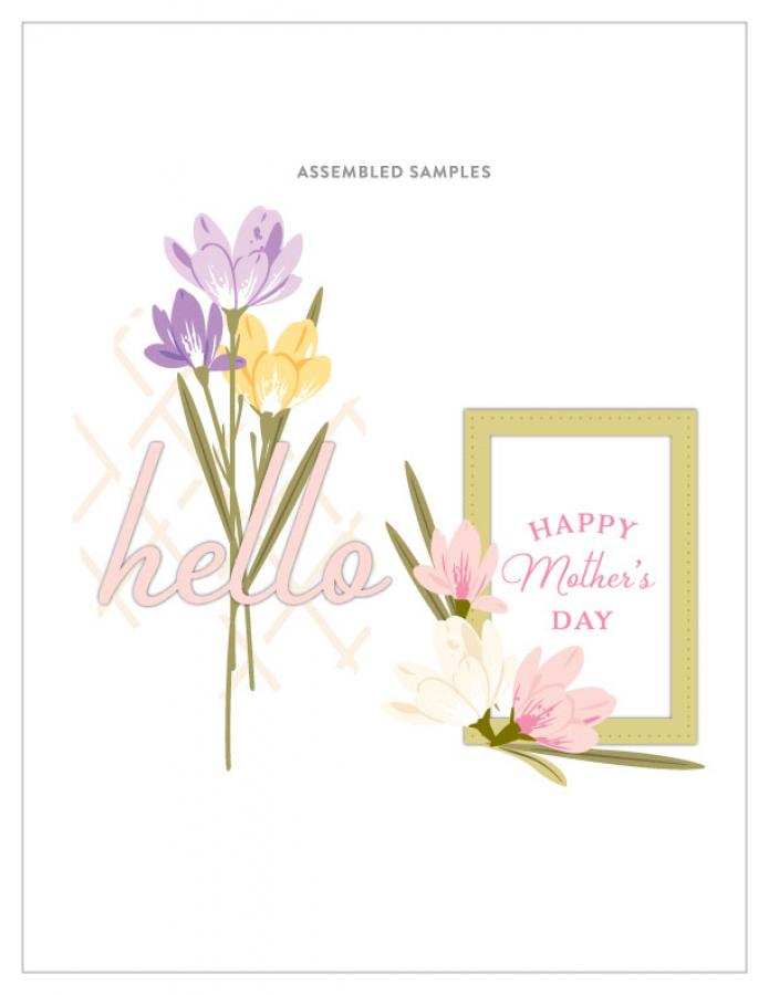 Pro Stamper's Box: March